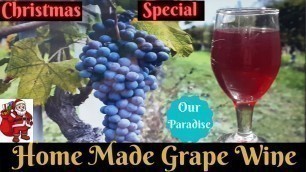 'Grape Wine || Christmas Special || Homely food'