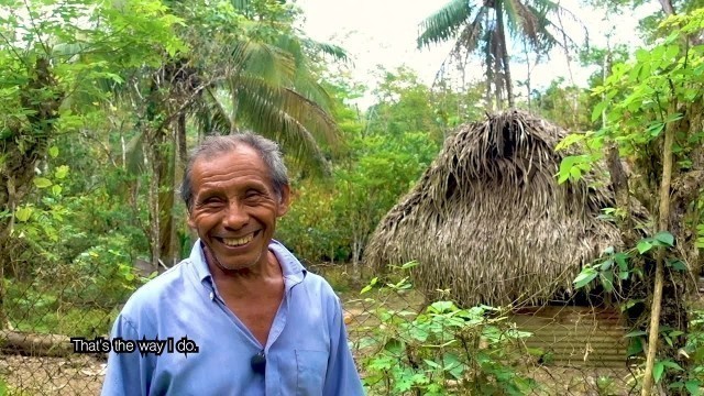 'Mayan Food Forest'