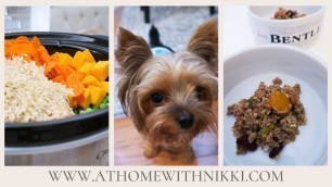 'HOMEMADE SLOW COOKER DOG FOOD RECIPE'