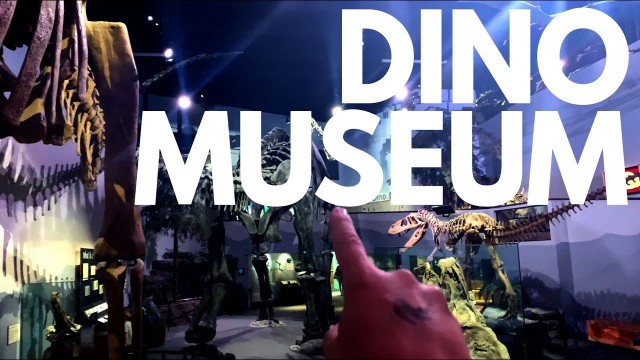 'What Dinosaur Is This? Museum of Ancient Life Thanksgiving Point!'