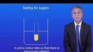 'GCSE Science Revision Biology \"Required Practical 4: Food Tests\"'