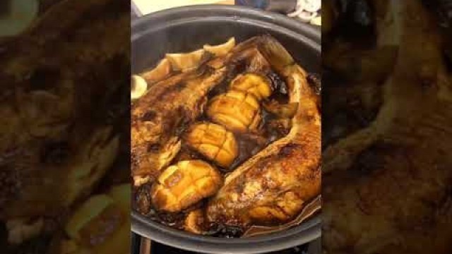 '#shorts cooking octopus eating live seafood mukbang hashmi food money food asmr no talking sleep'