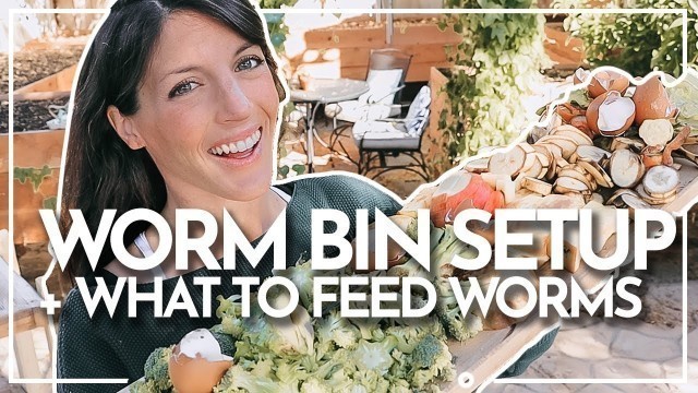 'HOW TO SETUP A WORM FARM + WHAT TO FEED WORMS | Vermicomposting | Hey It\'s A Good Life'