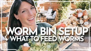 'HOW TO SETUP A WORM FARM + WHAT TO FEED WORMS | Vermicomposting | Hey It\'s A Good Life'