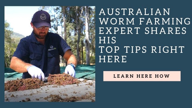 'Australian Worm farming expert shares HIS TOP TIPS'