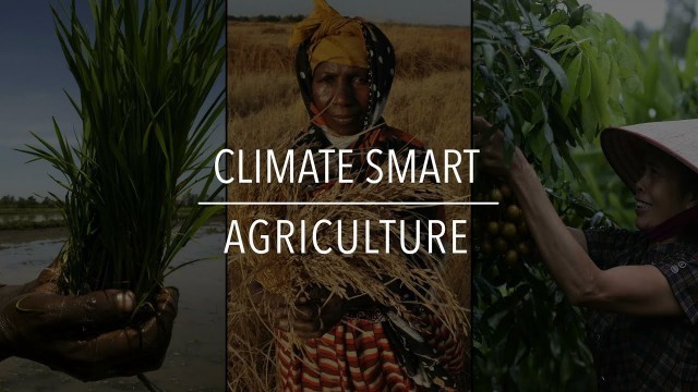 'FAO Policy Series: Climate Smart Agriculture'