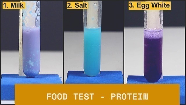 'Food Test - Protein | ThinkTac'