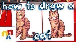 'How To Draw A Realistic Cat'