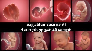 'Fetal development week by week | Karuvil kulanthai valarchi in tamil |MalligaTamil |Baby Development'