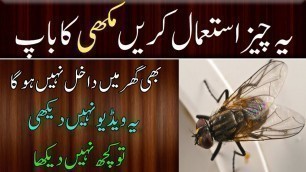 'Home Remedies | how to get rid of house flies | #Shorts | #Shortsvideos'