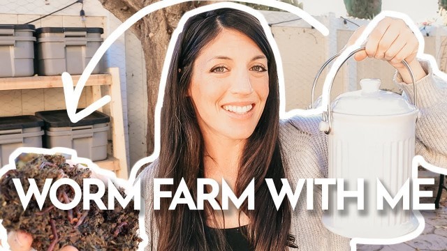 'How to Maintain a Worm Farm & Feed Worms | Week One Update | Hey Its a Good Life'