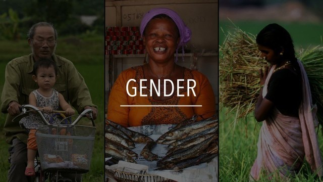 'FAO Policy Series: Gender'