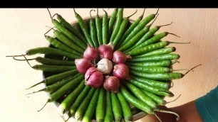 'Simple Green Chilli Mandi Recipe || Side Dish for Rice || Food Money Food'