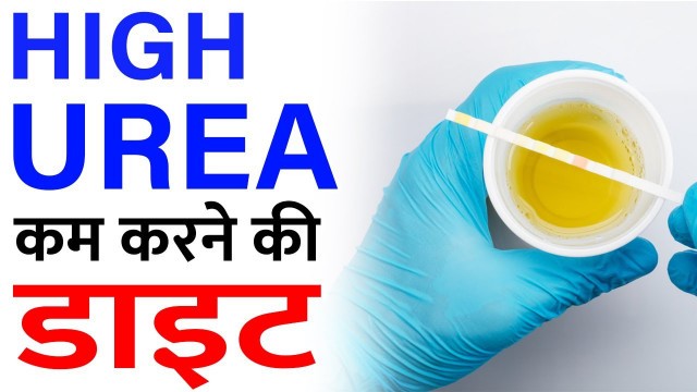 'high urea and creatinine diet | high creatinine and urea | high urea treatment'