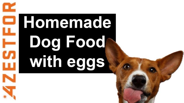 'Homemade Dog Food With Eggs'