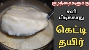 'Homemade Curd For Babies In Tamil | 8+ Months Baby Food @Homely Princess'