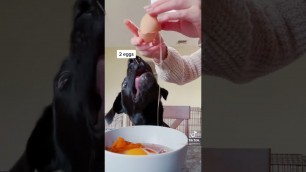 'Some homemade food for dogs 