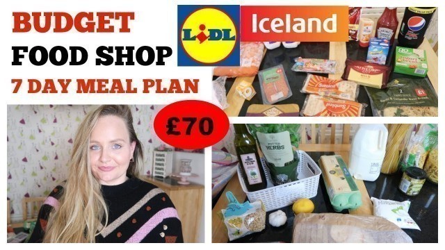 'CHEAP FOOD SHOP WITH COUPONS UK / FAMILY MEAL IDEAS / FRUGAL MONEY SAVING ICELAND & LIDL'