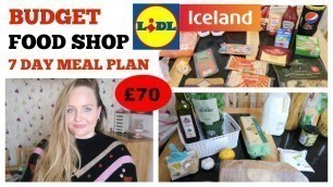 'CHEAP FOOD SHOP WITH COUPONS UK / FAMILY MEAL IDEAS / FRUGAL MONEY SAVING ICELAND & LIDL'