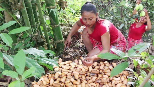 'Survival skills: Worm food tasty - Found & Catch many worm in Bamboo tree for food in Jungle'