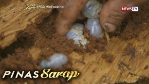 'Pinas Sarap: Exotic food na uok o coconut worm, kalasa nga ba ng manok?'