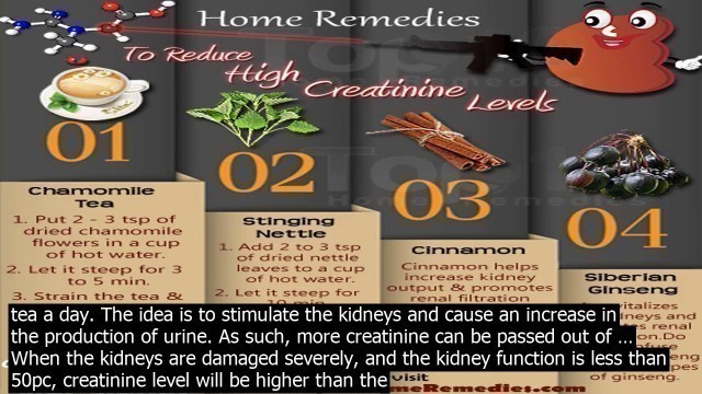 'How to lower creatinine levels in kidneys zone  you can lower creatinine levels by eating'