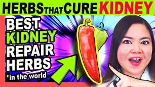 'Top 5 MOST Powerful KIDNEY-REPAIR Herbs in the world! (Lower Creatinine)'