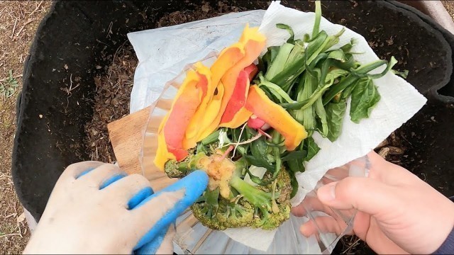 'Food, bedding & grit for 244-day outdoor worm bin - vermicomposting'