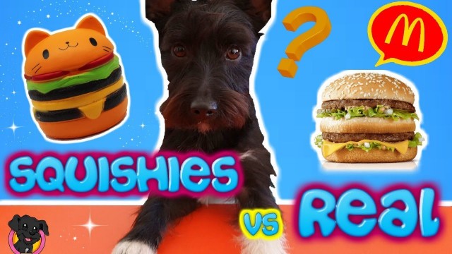 'COMIDA REAL vs COMIDA SQUISHY / Retos Lana / Squishy Vs Real Food Challenge!'