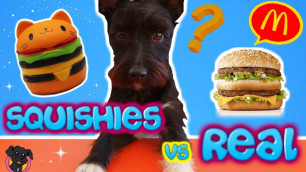 'COMIDA REAL vs COMIDA SQUISHY / Retos Lana / Squishy Vs Real Food Challenge!'