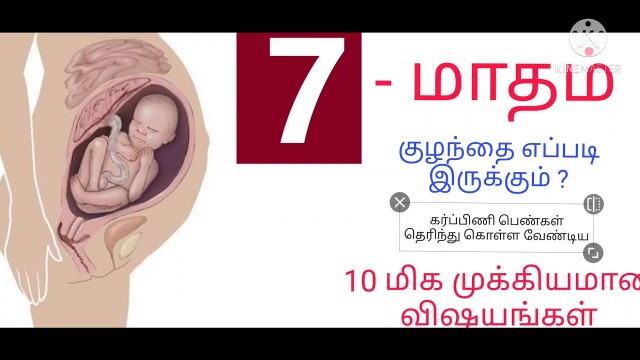 '7 month baby development in womb in tamil/7th months baby development during pregnancy in tamil'