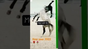 'new year muggulu 2022 song#NisarBOYSchoolLIFE#2022 #new #status #vlog #stayhome #standoff2 #food'