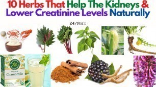 '10 Herbs That Help The Kidneys And Lower Creatinine Levels Naturally - 247naturalhealth.com - 247nht'