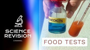 'GCSE Science Biology (9-1) - Food Tests - Required Practical'