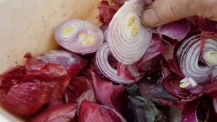 'Can you feed onions to worms? Another successful worm farm food experiment!'