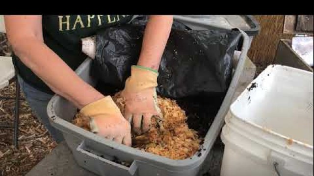 'Making a Worm Bin'