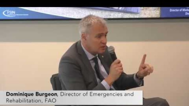 'Panelist: Dominique Burgeon, Director of Emergencies, Food and Agriculture Organization (FAO)'