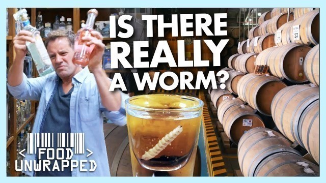 'Does Traditional Tequila Have a Worm in it? | Food Unwrapped'