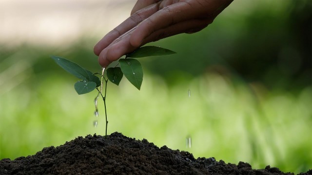 'The state of the world’s land and water resources for food and agriculture'