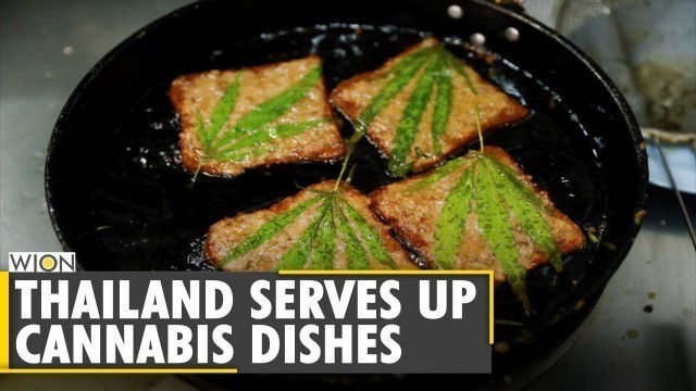 'Thai hospital restaurant rolls out weed-inspired menu | Thailand\'s Cannabis cooking safe |World News'