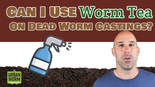 'Can I Use Worm Tea on Dead Worm Castings?'