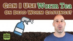 'Can I Use Worm Tea on Dead Worm Castings?'