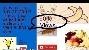 'How to get rid of fruit flies/ fruit fly || फल पर बैठने वाली मक्खियों को भगाने के easy उपाय'