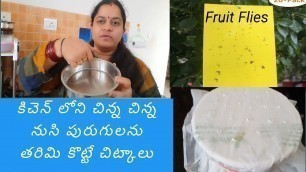 'కిచెన్ లో ఉండే చిన్న చిన్న నుసి పురుగులను(Fruit Flies)ఇలా ఈజీగా తరిమి కొట్టండి|Kitchen Tips|RAMA'