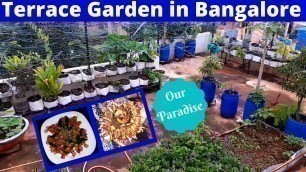 'Terrace garden || Homely Food || Chenarecipe'