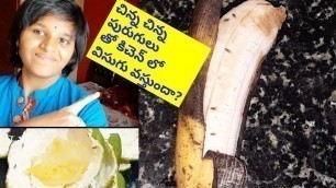 'Get rid of fruit flies in telugu/How TO GET RID OF FRUIT FILES IN TELUGU/Flush out Fruit Flies'