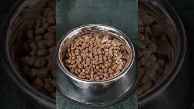 'Dog food at home recipe #shorts #dogfood'