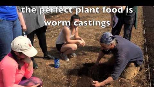 'Cardboard Method Inventor Tells All: No-Till Gardening Guide to Worm Sex and Good Food'