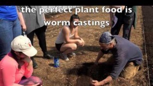 'Cardboard Method Inventor Tells All: No-Till Gardening Guide to Worm Sex and Good Food'