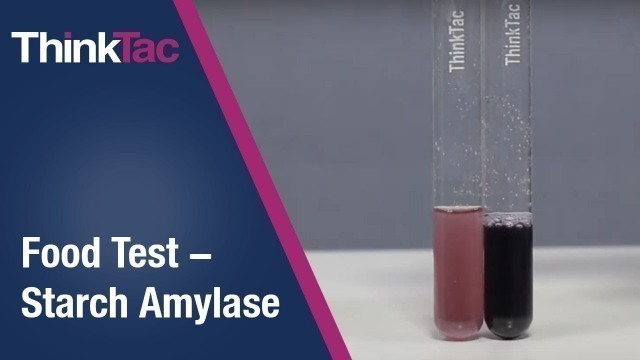 'Food Test - Starch Amylase | Version 2 | ThinkTac'